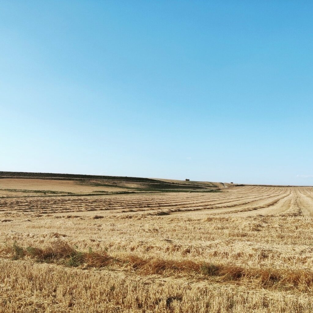 campo
