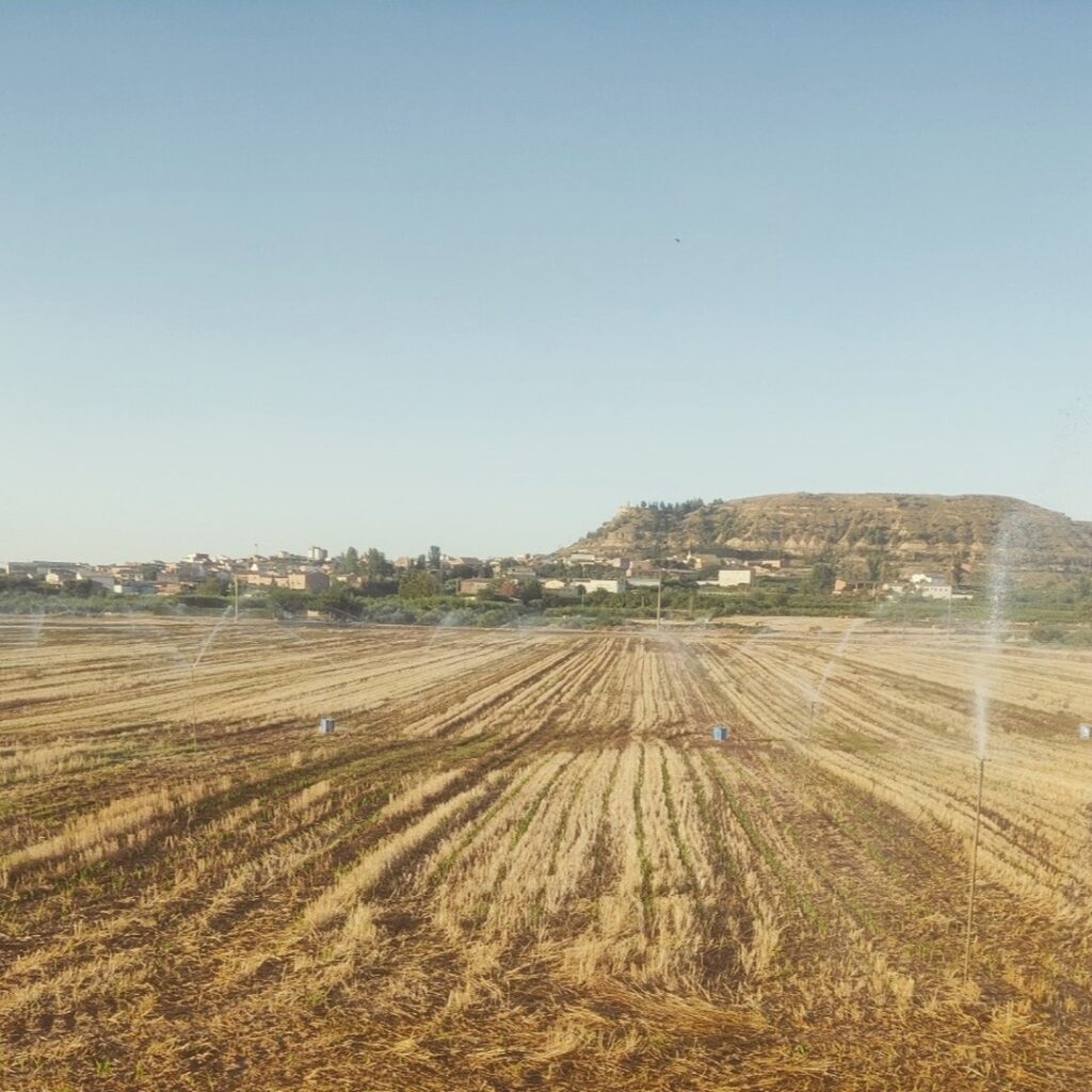 campo