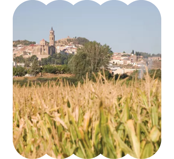 cultivo y pueblo de fondo