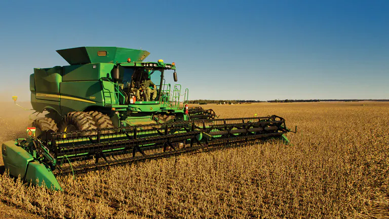 campo